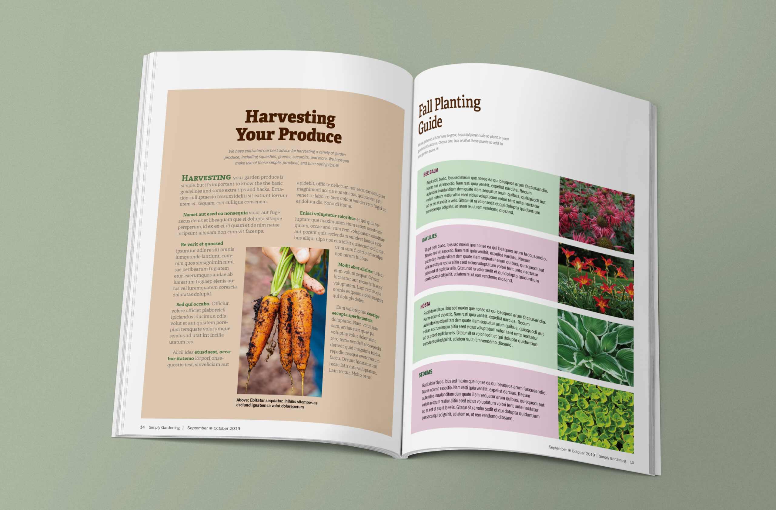 Harvesting Your Produce & Fall Planting Guide