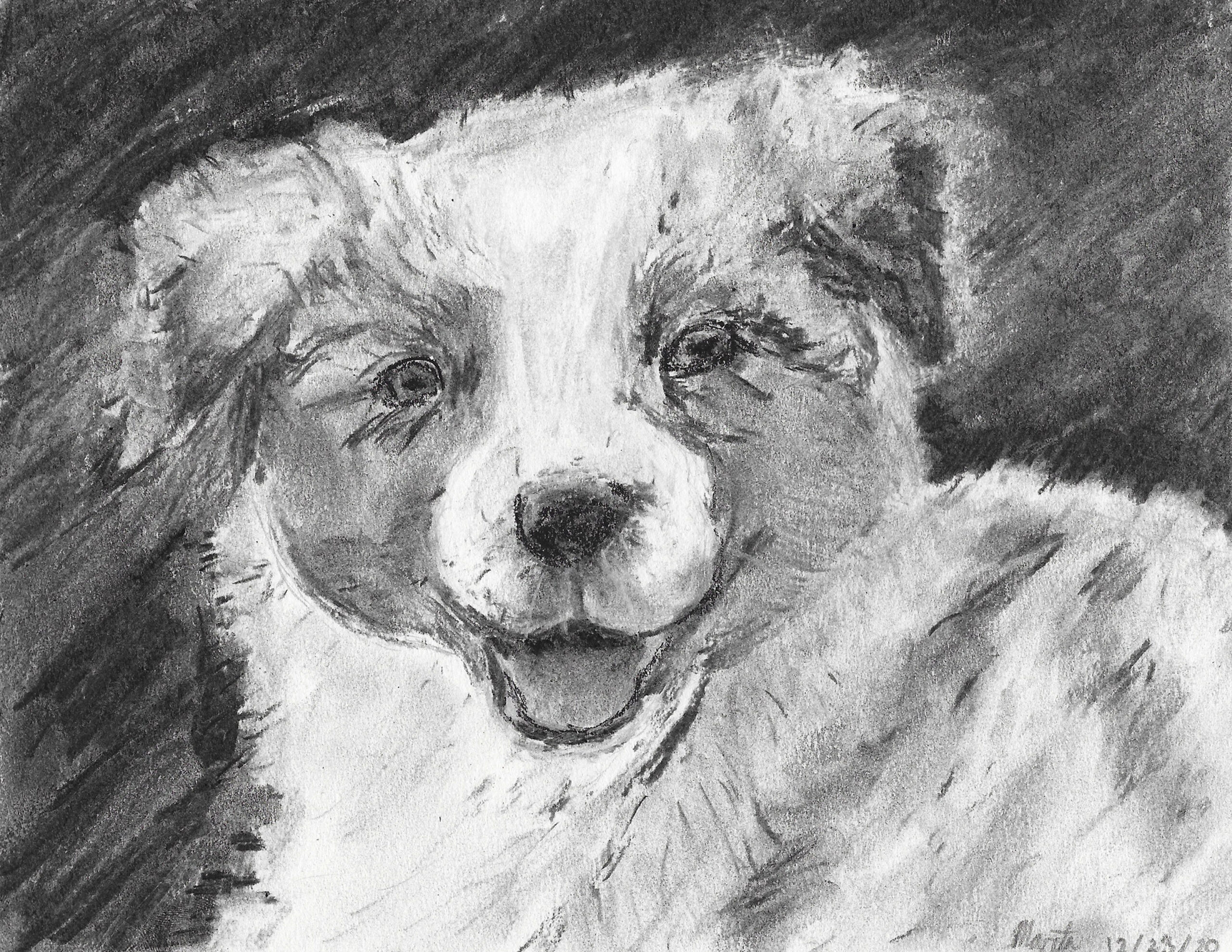 Featured image for “Happy Puppy Portrait”