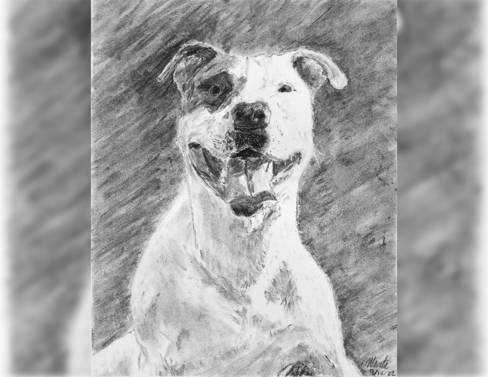 Featured image for “Delighted Dog Portrait”